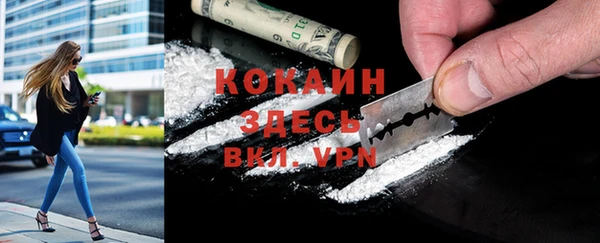амф Коряжма