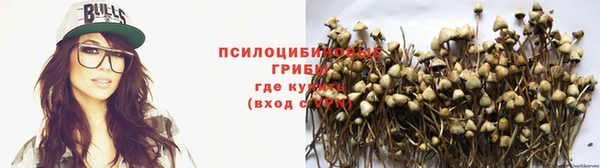 амф Коряжма