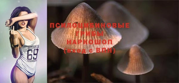 амф Коряжма