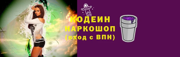 амф Коряжма
