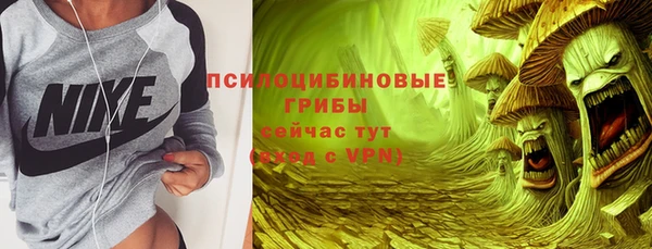 соль курить ск Костерёво