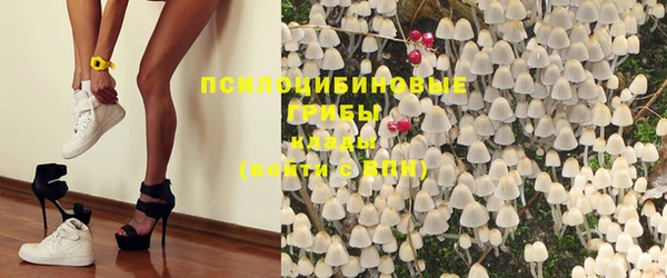 амф Коряжма
