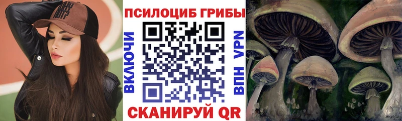 Псилоцибиновые грибы ЛСД  Купить закладки  Ртищево 