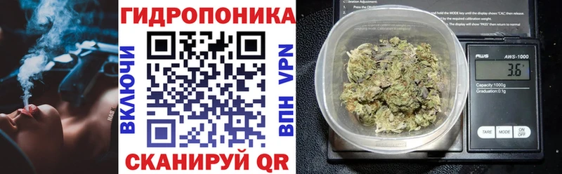 Марихуана план  Купить где  Ртищево 
